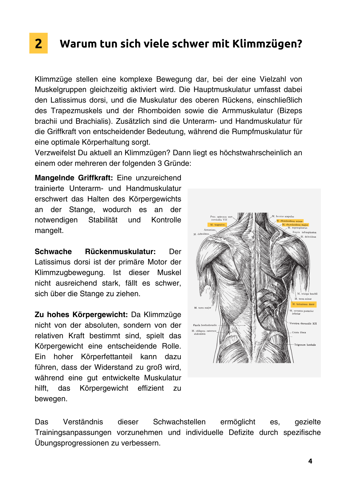 Die Klimmzug Formel – Vom ersten Klimmzug zu 10+ Wiederholungen